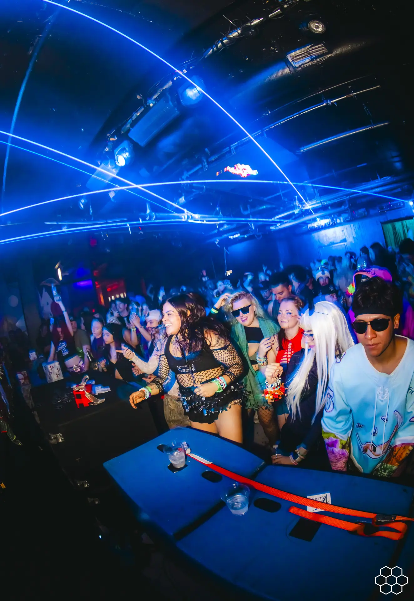 Sacred Hive Experience